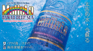 koyo01.jpg